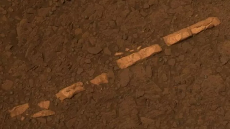 Marte sedimento de agua 