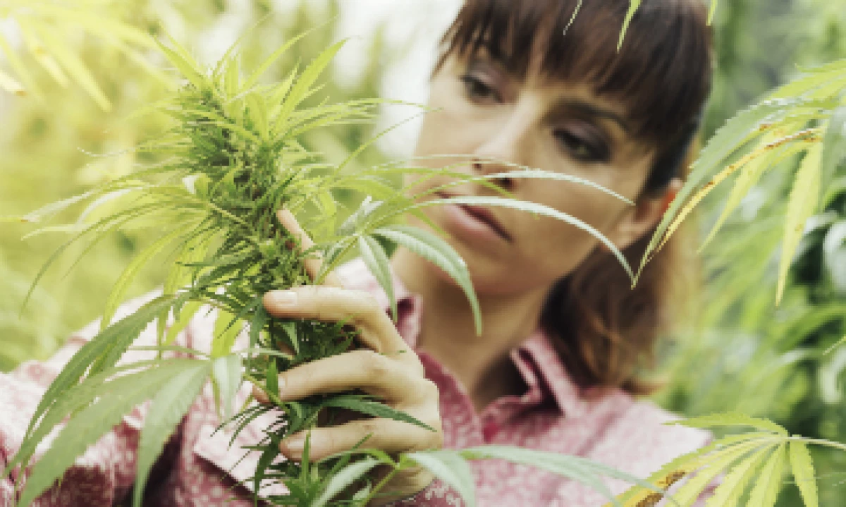 Las mujeres representan 36% de los ejecutivos en el mercado del cannabis. (Foto: iStock by Getty Images)