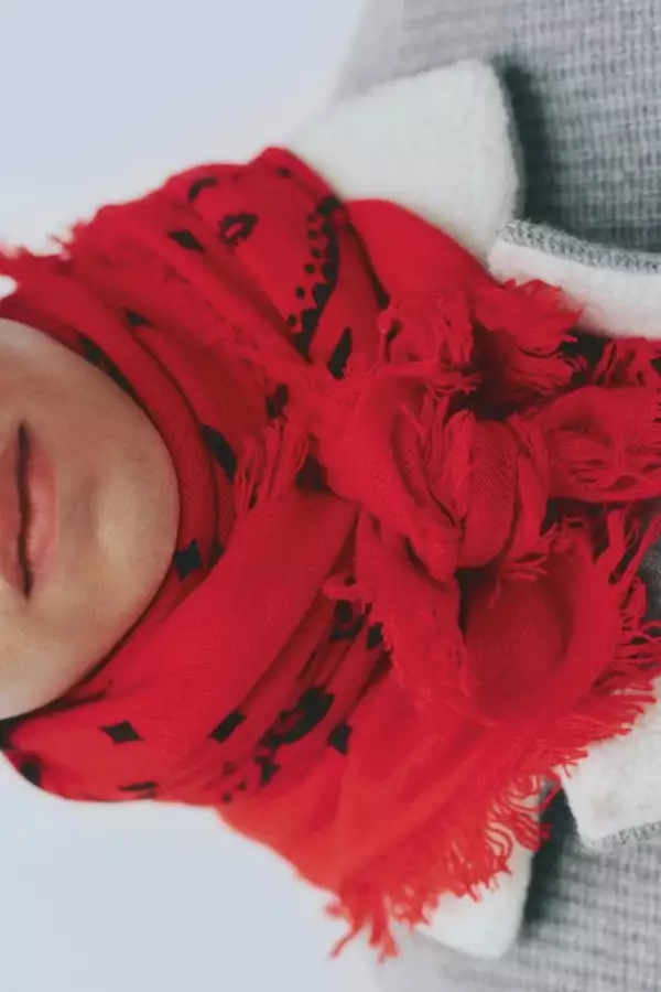 Bandana Hachiko.jpeg