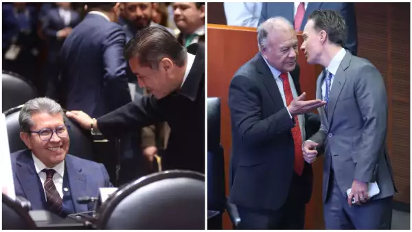 Reforma electoral_Monreal Velasco 