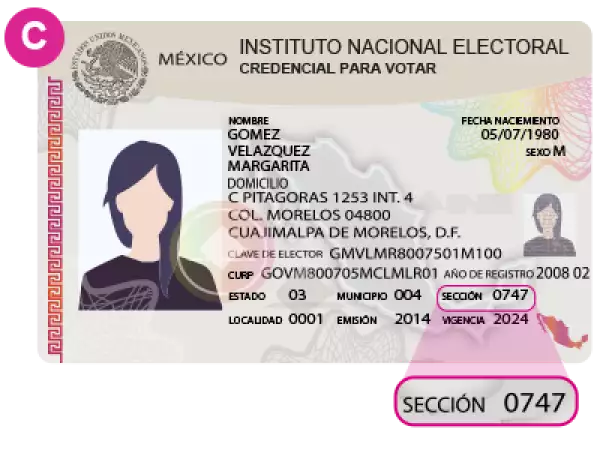 seccion-ine