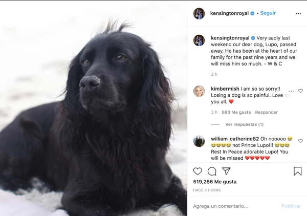 Lupo