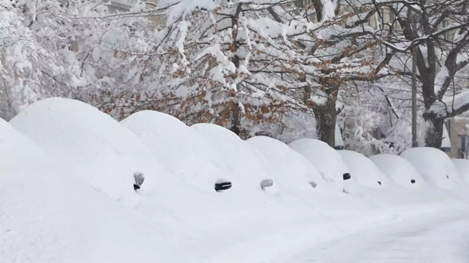 Nevadas en el noreste de EU