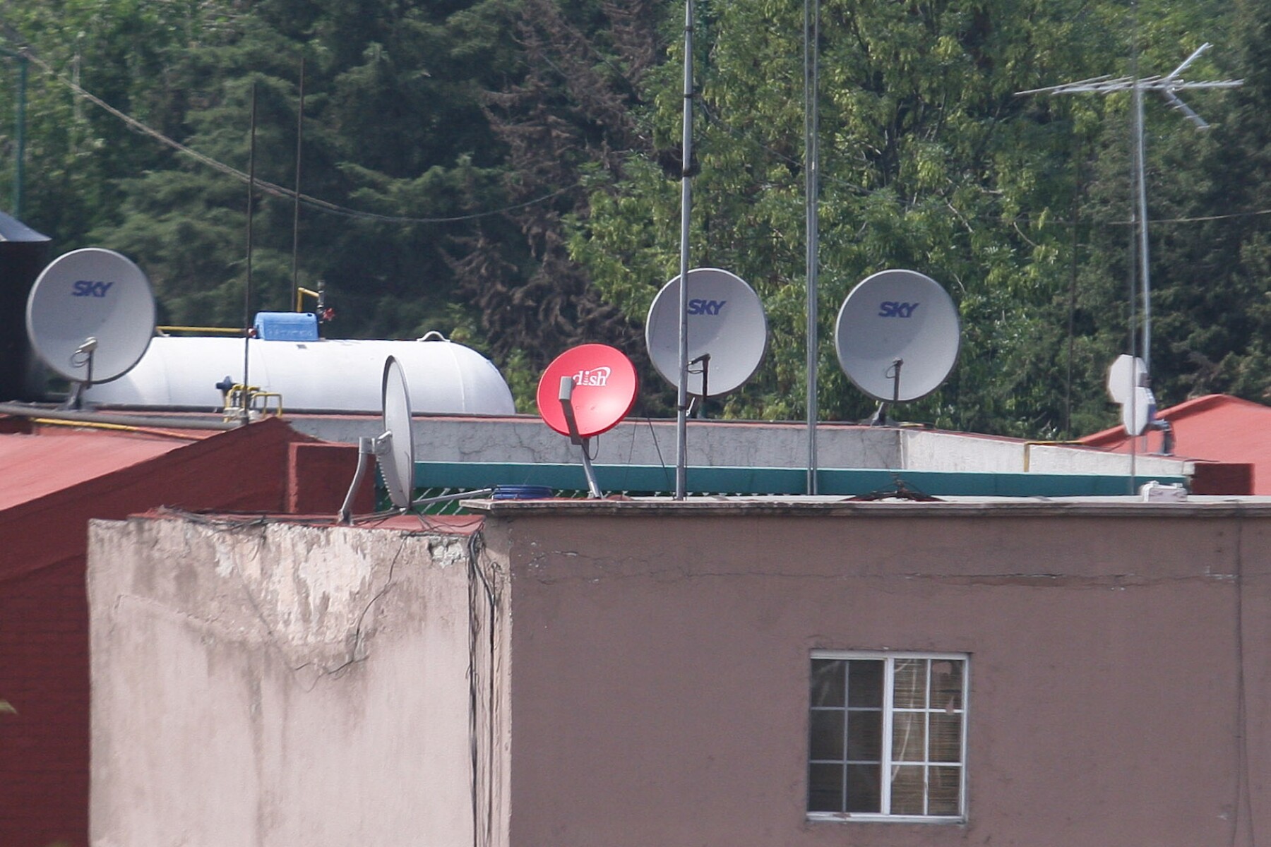 televisión de paga
