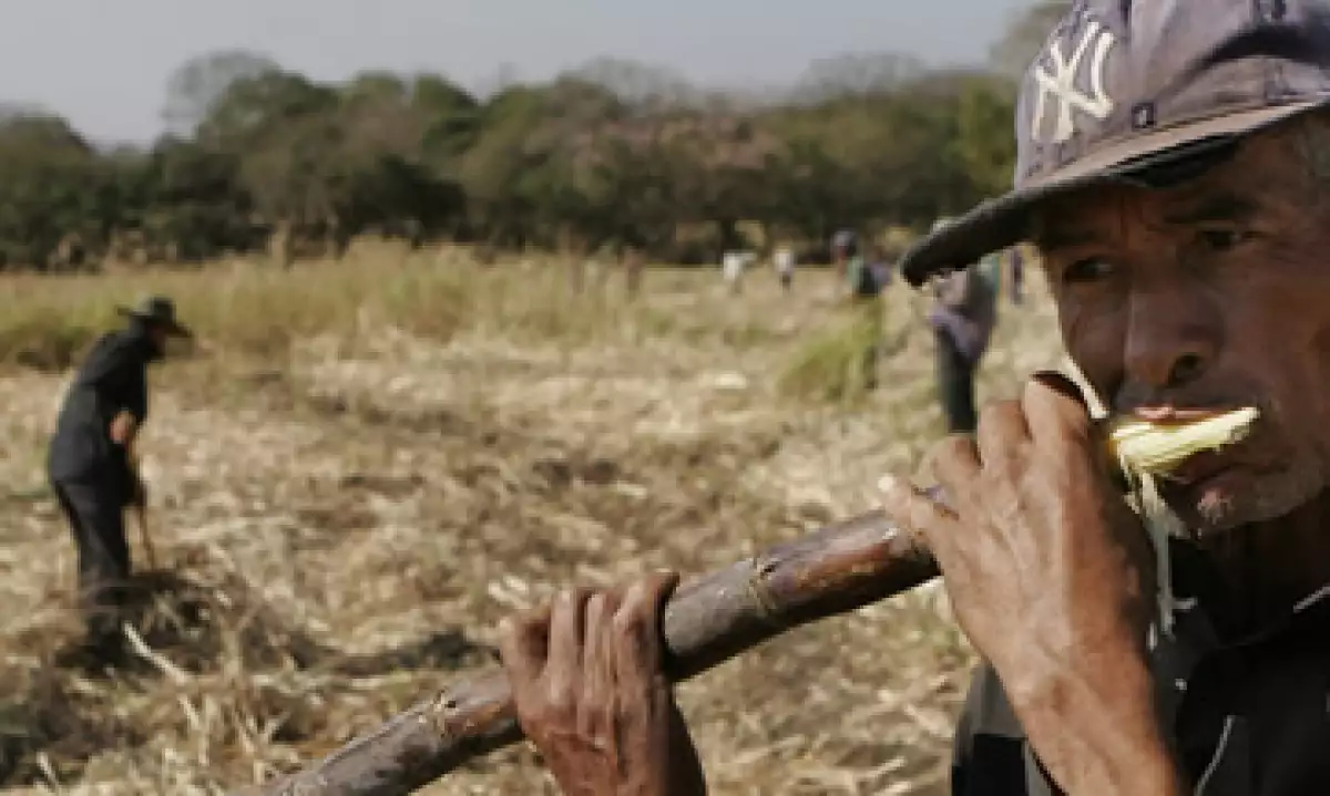 Para el 80% de los pequeños agricultores de México la empresa representa la primera puerta de acceso al crédito formal. (Foto: AP)