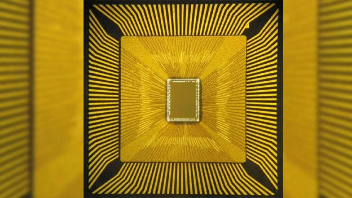 IBM chip cerebro