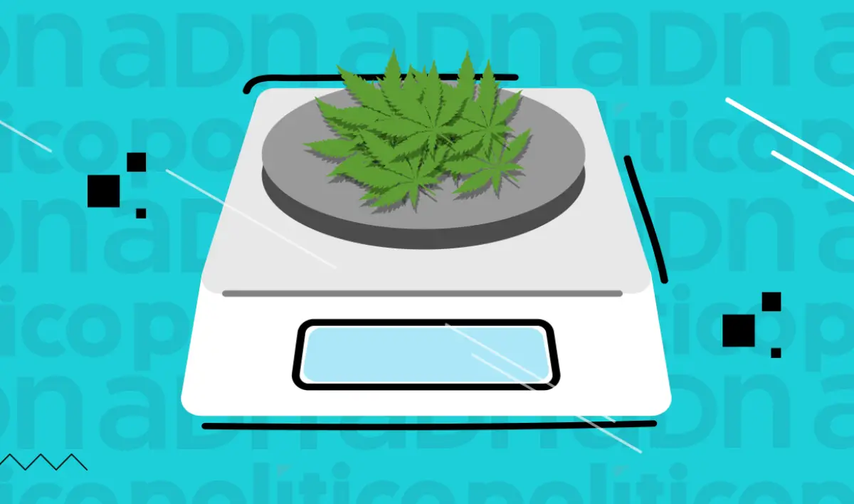 Marihuana en báscula