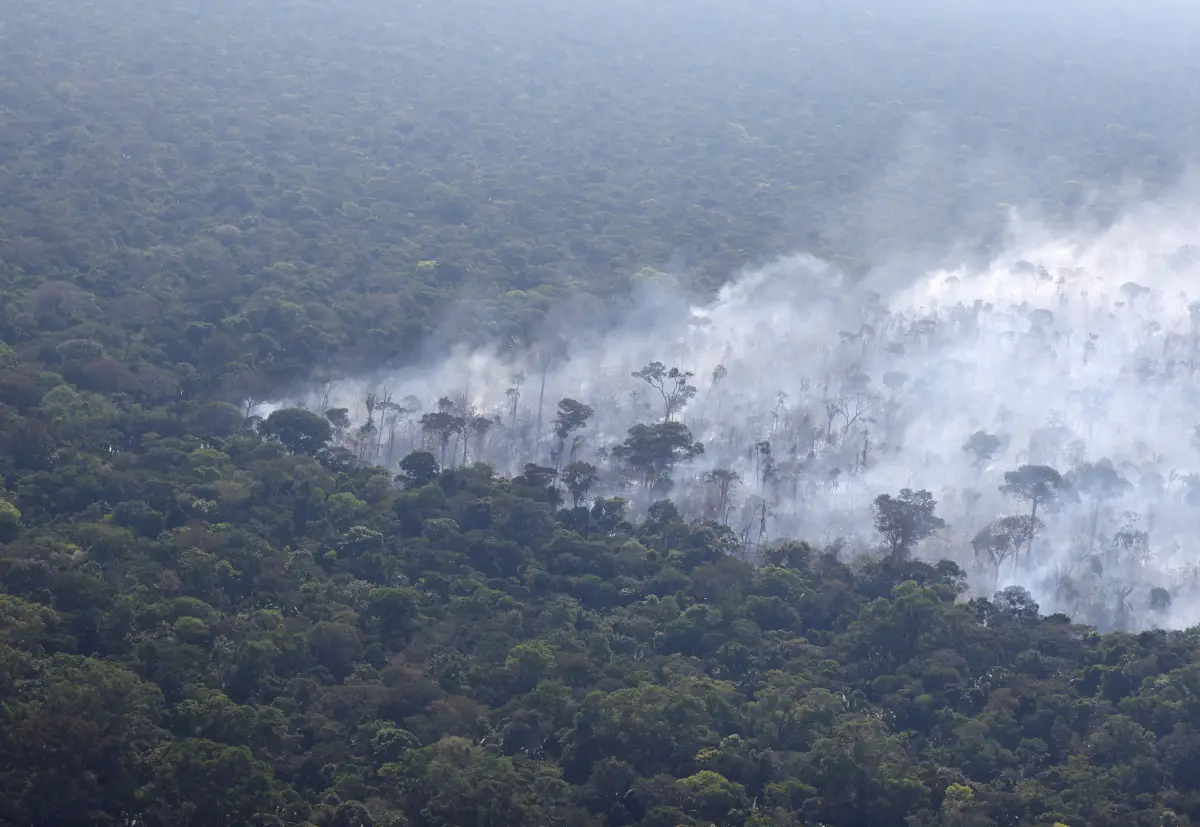 El humo de un incendio se eleva en el aire mientras los árboles arden entre la vegetación de la selva amazónica de Brasil, cerca de Humaita, estado de Amazonas, Brasil, 3 de agosto de 2023.