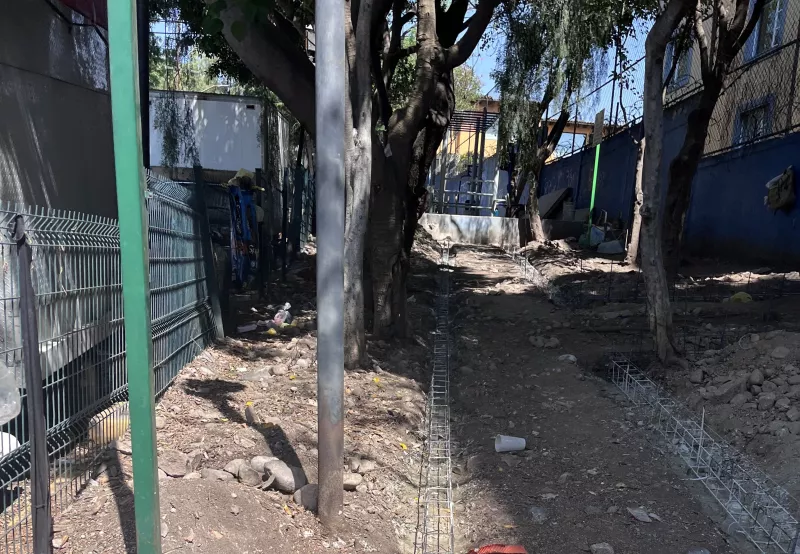 El árbol que a nadie le importo verlo morir
