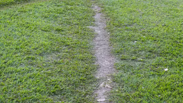 Así luce hoy la zona donde se construirá la Estación Escárcega