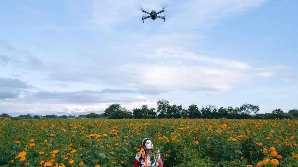 DJI