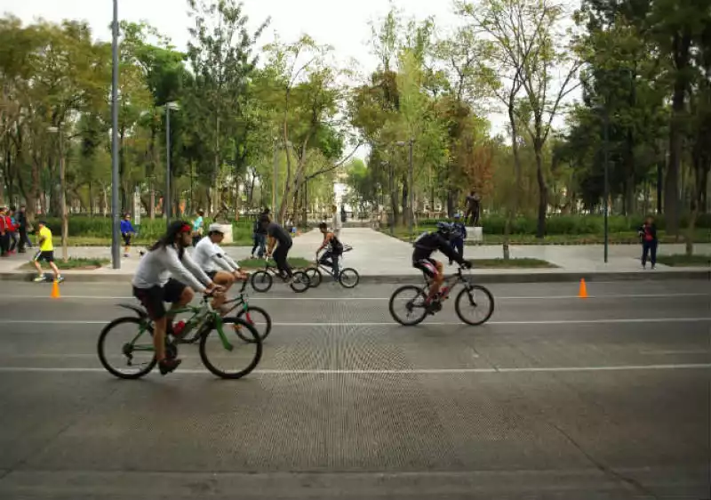 Bicicletas en la Alameda