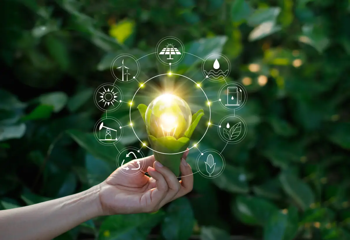 Empresas y medio ambiente