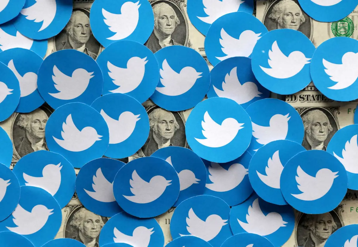 (Obligatorio)