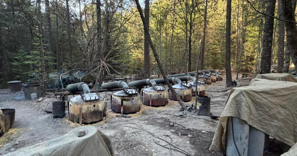 Mexico's Security Cabinet confirms CIA agents lacked authorization to operate in drug lab demolition in Chihuahua's Sierra Tarahumara