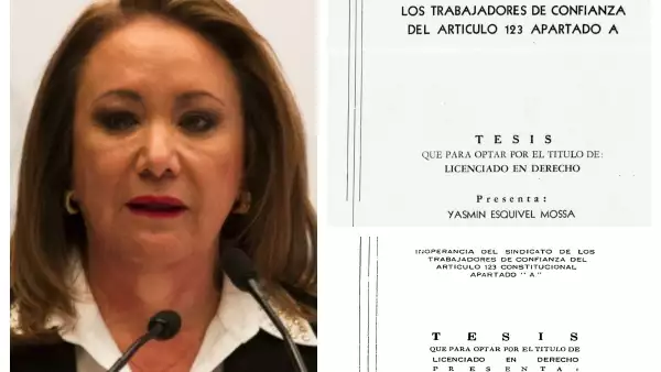 tesis-ministra