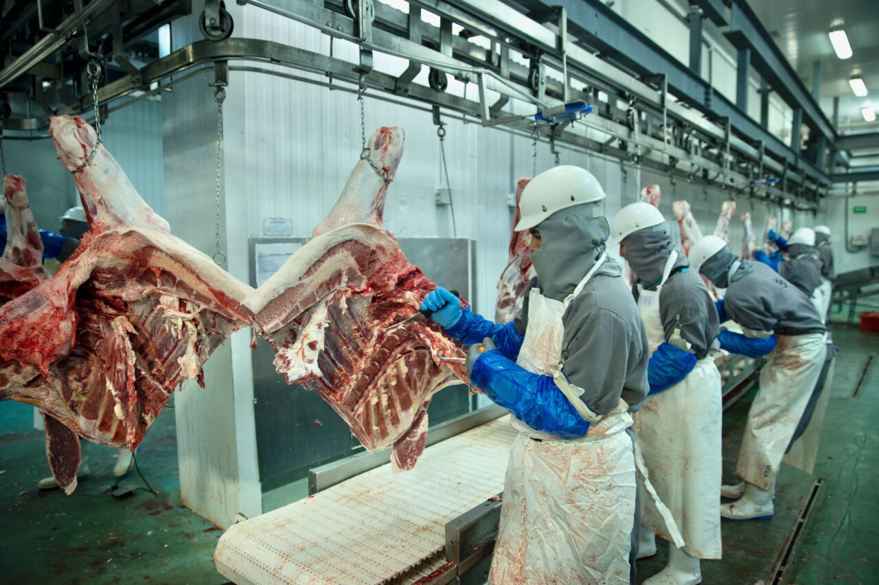 La falta de reglas claras para importar carne brasileña pone en vilo los planes de la industria mexicana