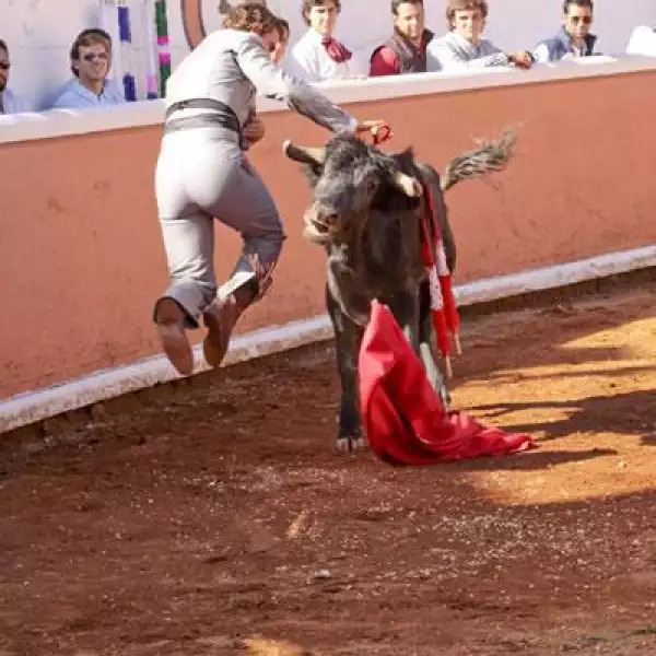 Corrida de toros Juriquilla