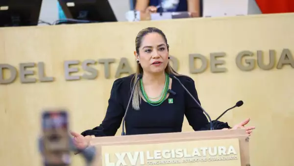 itzel mendo aborto guanajuato.jpg