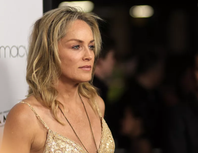 Aparentemente Stone, quien estaba acompañada de su novio, el modelo argentino Martín Mica y de varios guardaespaldas, sufrió el malestar a causa del cansancio.