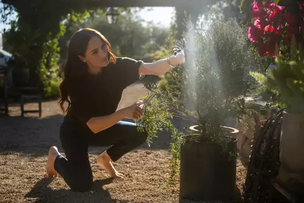 Con Amor Meghan Especial de Navidad