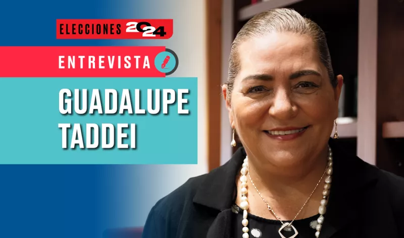 Guadalupe Taddei en entrevista: "La estructura del INE está firme, de pie y segura"