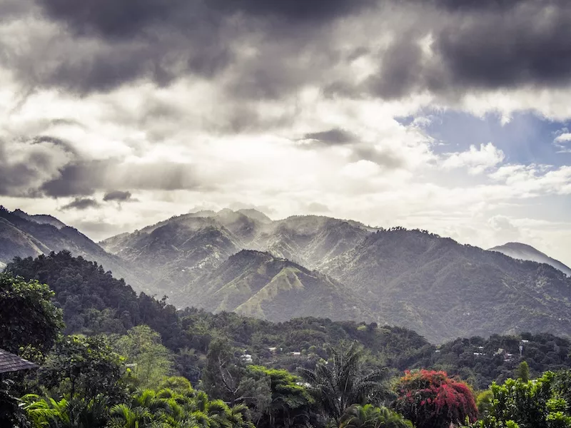 Life and Style Ron 3.jpg