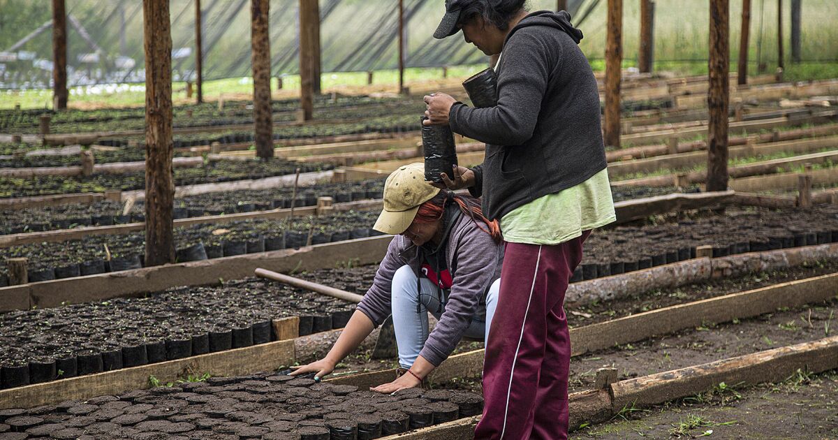 Mexico and the US launch program for Central America