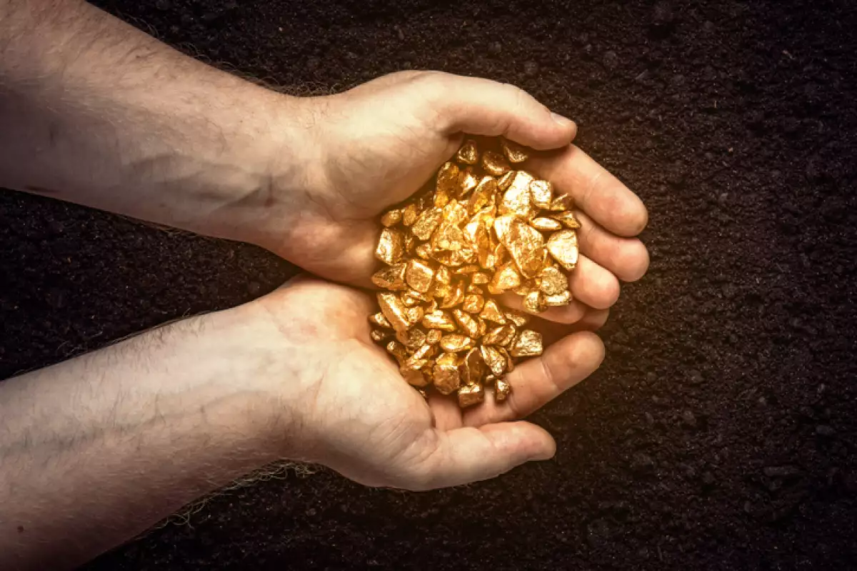 pepitas de oro