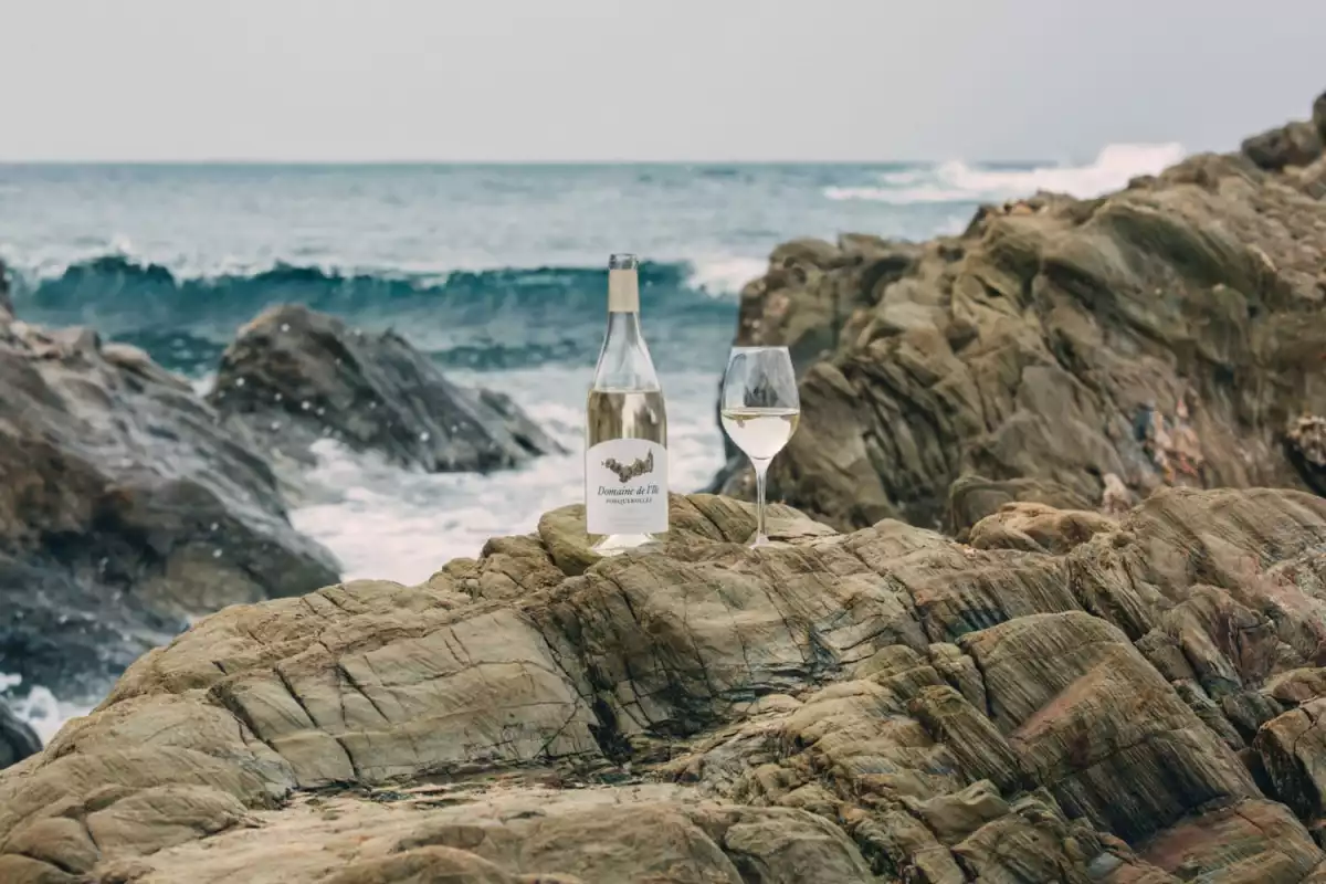 chanel_domaine-de-lile-white-wine-landscape-credits-erea-azurmendi-LD.jpg