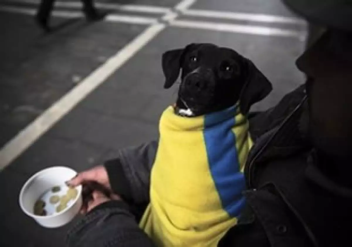 Según la OIT las cifras de desempleo distan de la realidad porque muchos han desistido de buscar trabajo. (Foto: AP)
