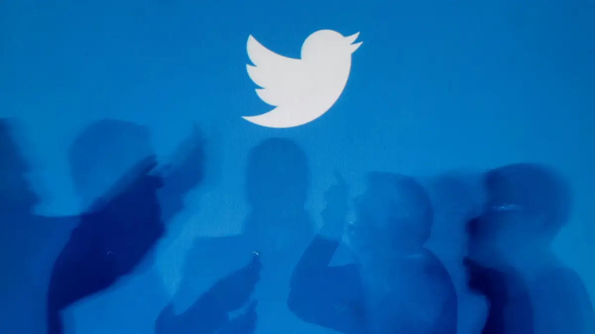 twitter paloma azul 
