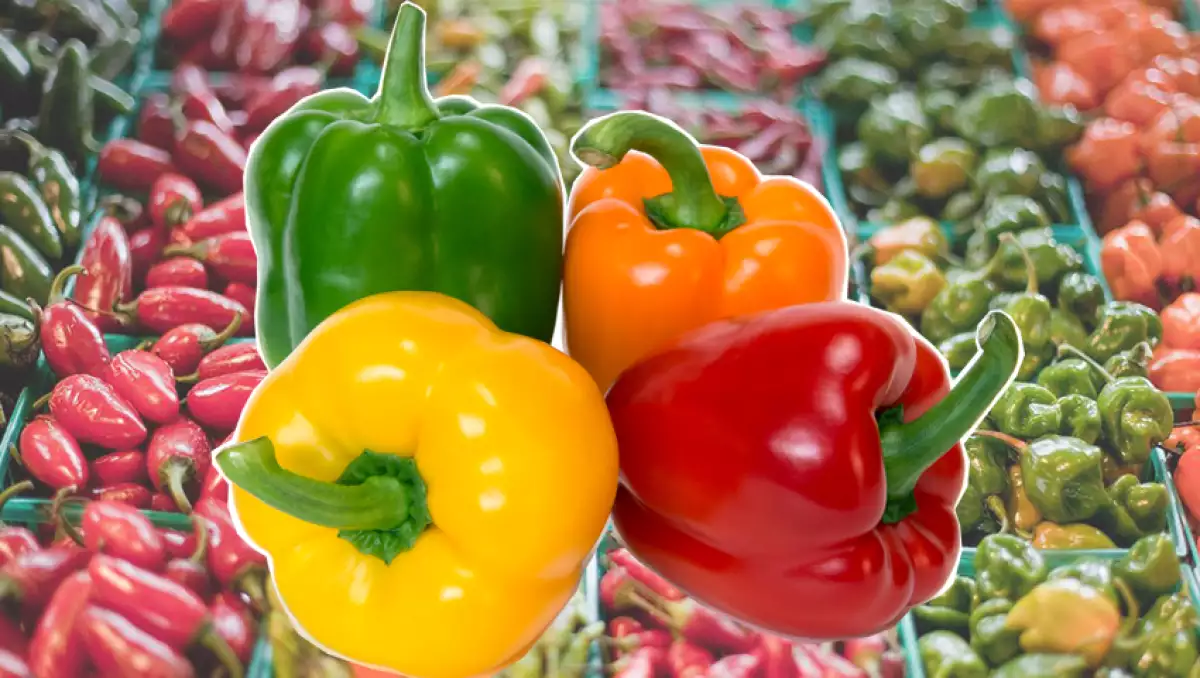 Evita los pimientos, los chiles, la cafeína y los lácteos.