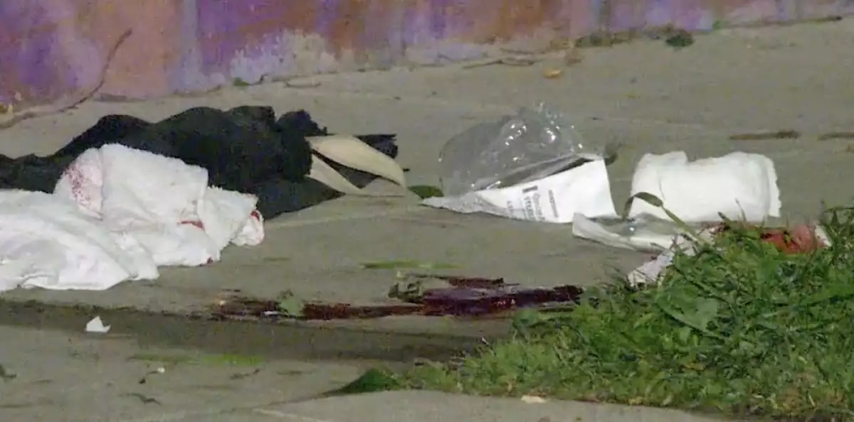 PREMIUM EXC Lady Gaga's Dog