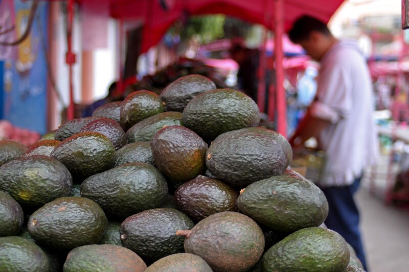 Aguacate