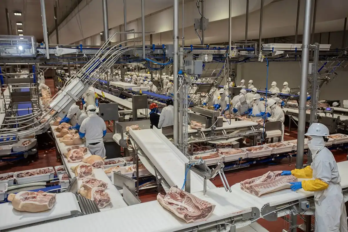 "El reto de alimentar a la gente es brutal": productores de carne evalúan alternativas veganas