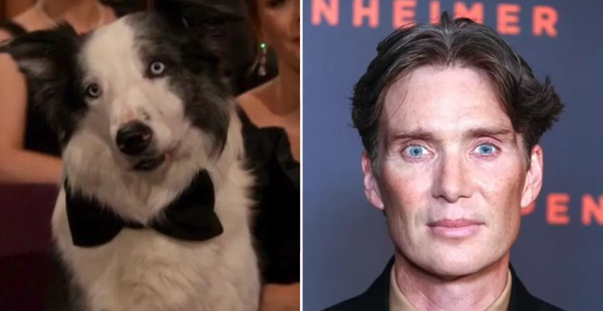 Los mejores memes de los #Oscar2024 (Fuente: X)