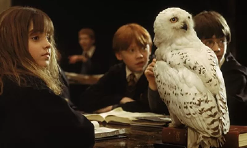 Diferentes búhos han sido utilizados para las películas de Harry Potter. (Foto: Facebook/HarryPotterMovie)