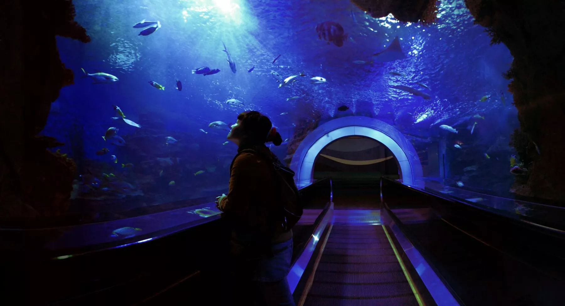 Luz de acuario -  México