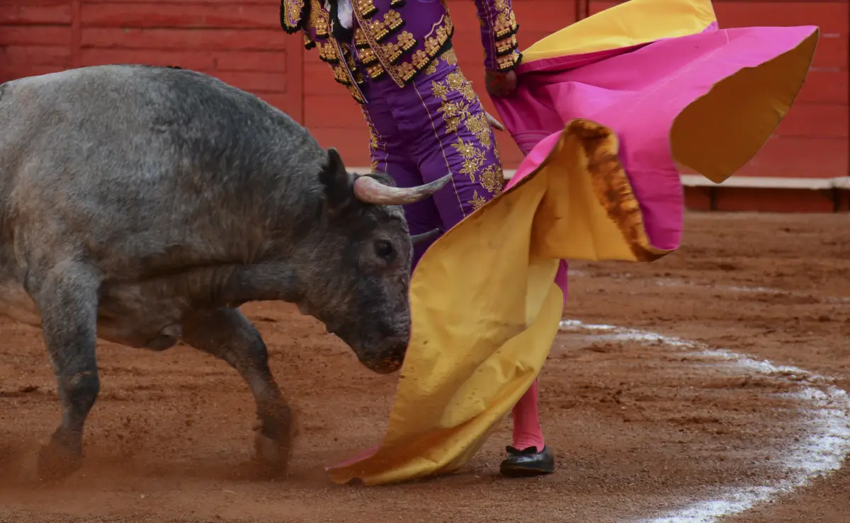 Prohíben las corridas de toro en Quintana Roo