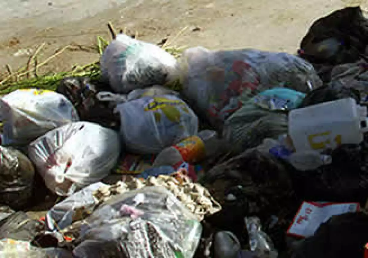 Las bolsas biodegradables no son la solución (Foto: )