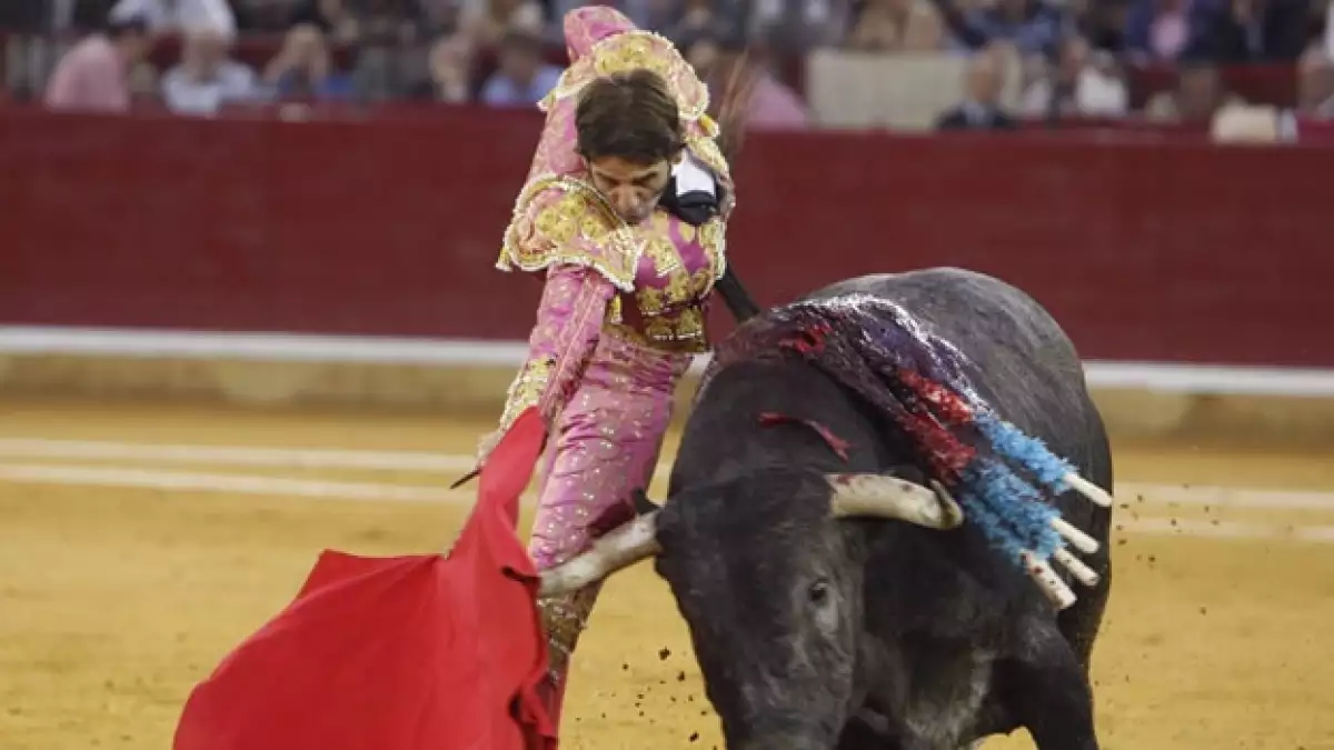 Torero Juan José Padilla