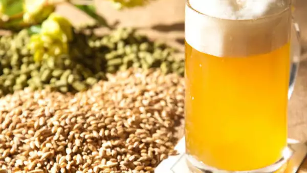 industria cervecera