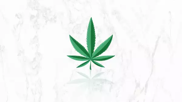 Legisladores del PRI y PVEM bloquean discusión de aumentar gramaje de marihuana, conoce cuáles otras iniciatias lo proponen. 