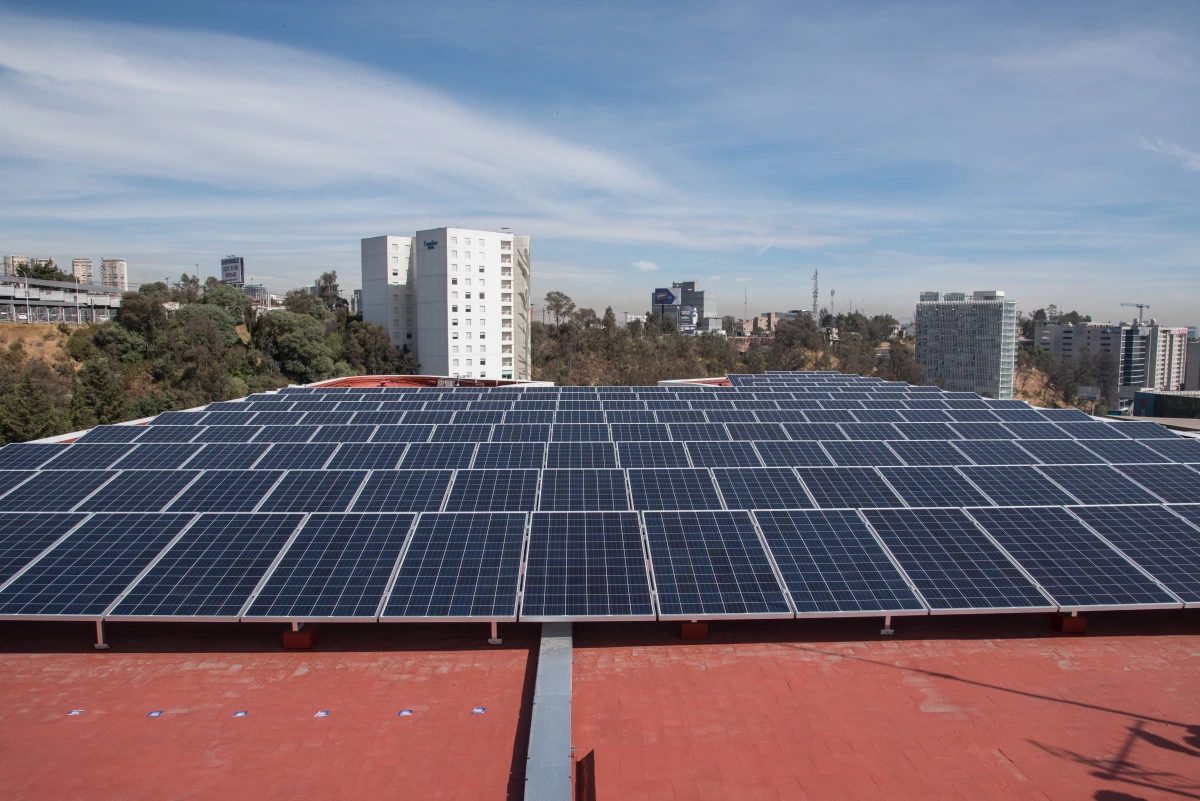 Apuesta ecológica