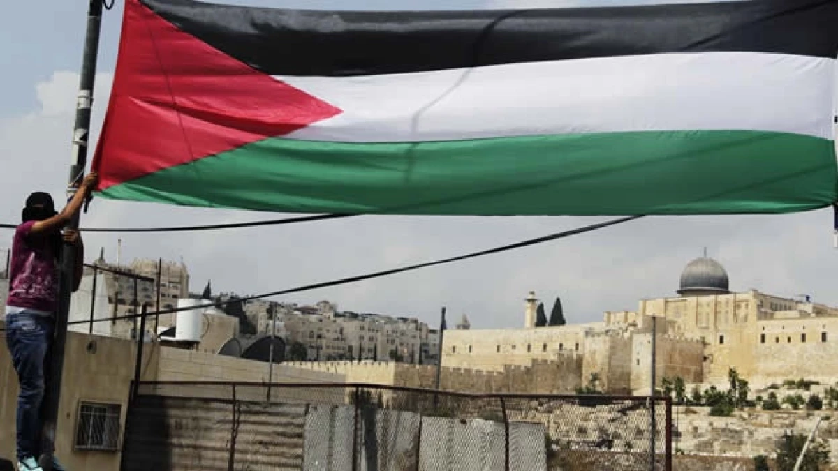 bandera palestina