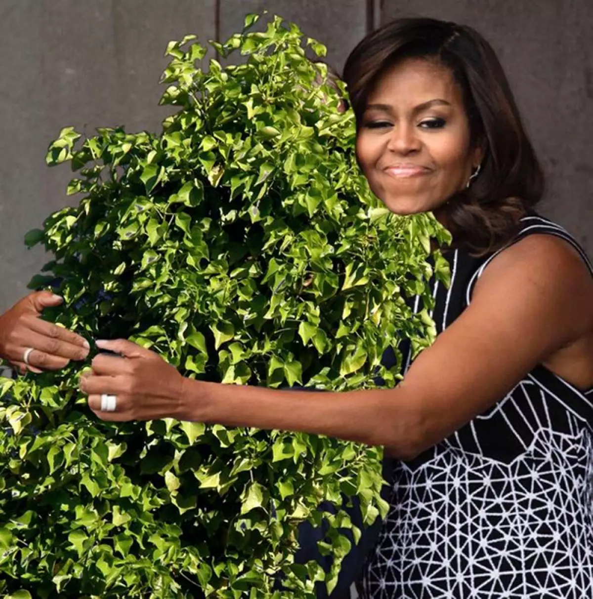 meme bush