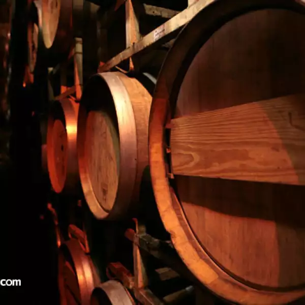 Vendimia Monte Xanix