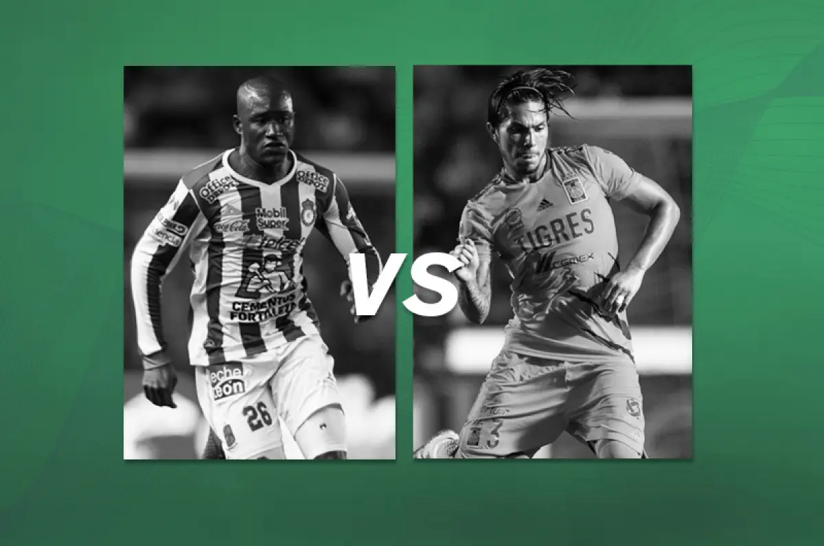 Tigres-Leon