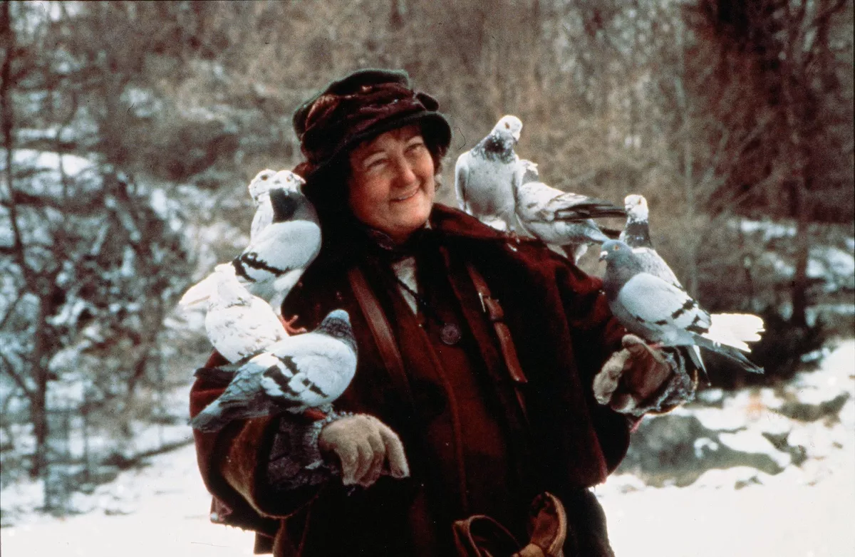 Home Alone 2 - Lost In New York - 1992